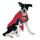 Illustration for article titled The Best Geeky Halloween Costumes For Your Pet